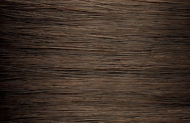 Fő kép